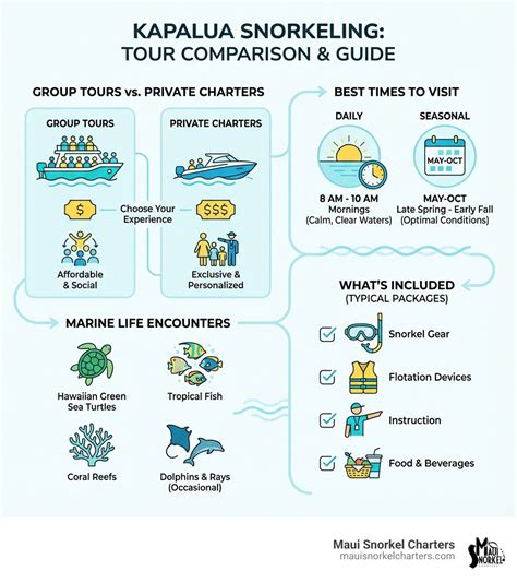 Snorkeling Tours Comparison