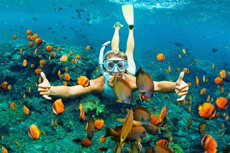 Snorkeling Vacation