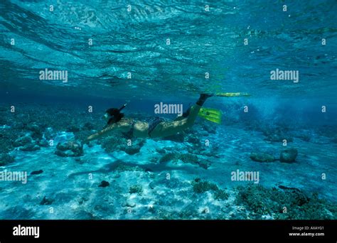 Snorkeling around Prison Island