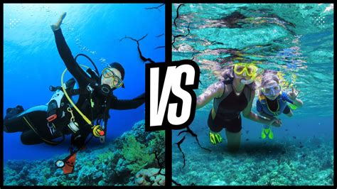 Snorkeling comparison