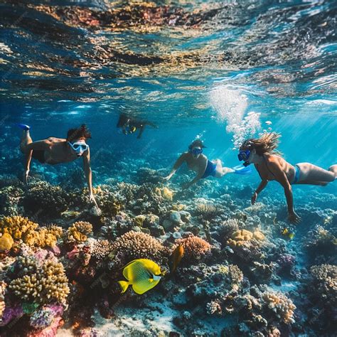 Snorkeling conservation