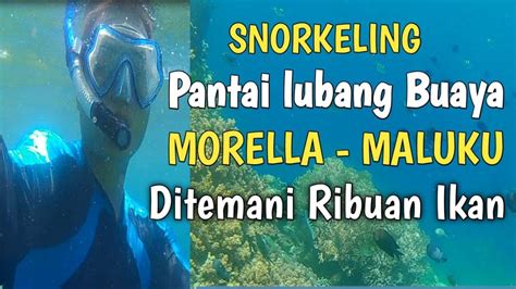 Snorkeling di Maluku