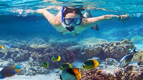 Snorkeling ethics