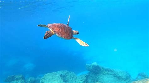 Snorkeling in Protaras