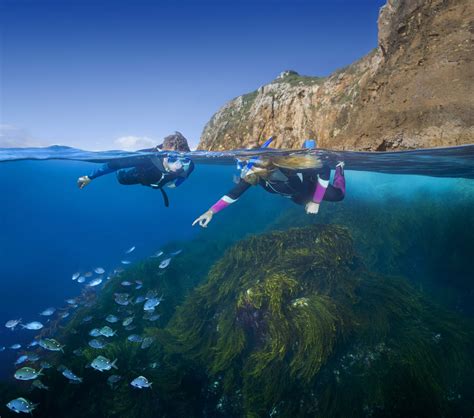 Snorkelling Adventure