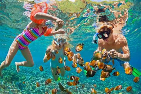 Snorkelling Destinations