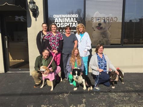 Exceptional Pet Care Services at Snowden Grove Animal Hospital: Your Trusted Local Vet Clinic