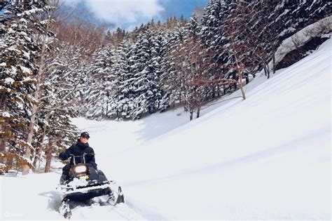 Snowmobile Ride Thrill