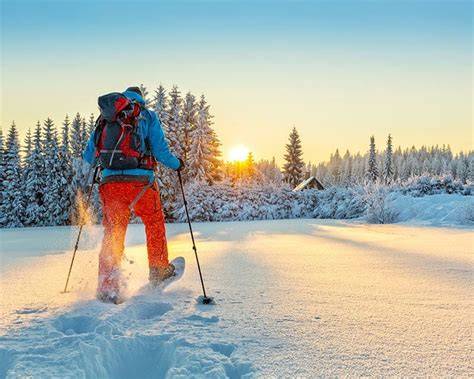 Snowshoeing National Park