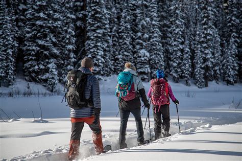 Snowshoeing trail