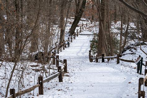 Snowy forest trail