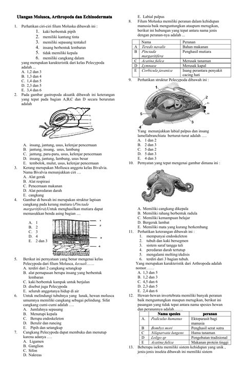 Animalia: Klasifikasi dan Karakteristik pada Kelas 10 Pendidikan