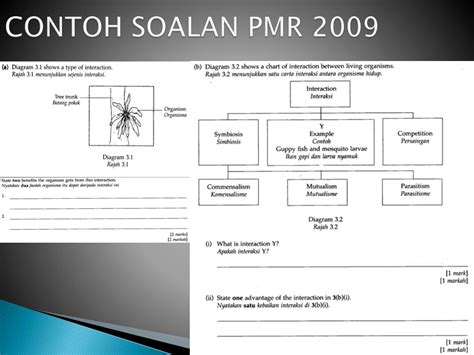 Soalan Pmr