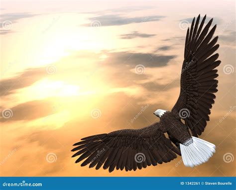 Soaring Eagle Image