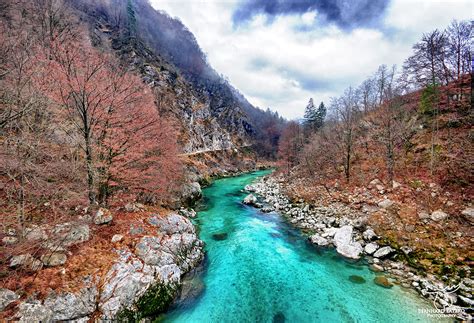 Soca River Rafting: A Top Family Adventure Review