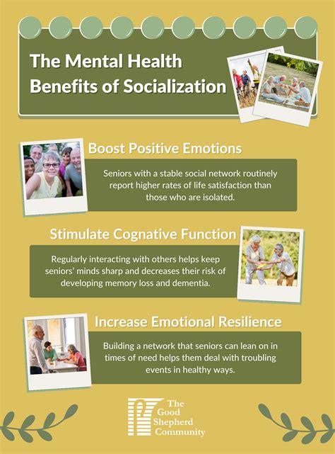 Socialization and Mental Stimulation