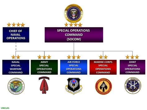 Socom Organization Chart