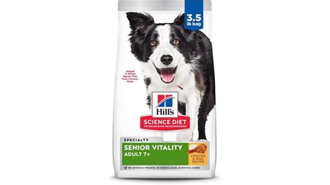 Give Your Beloved Senior Companion the Tender Bite They Deserve: Nourishing Soft Dog Food