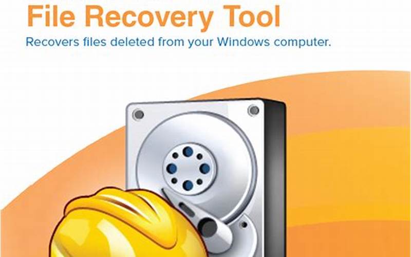 Software Recovery