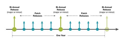 Software Support and Longevity