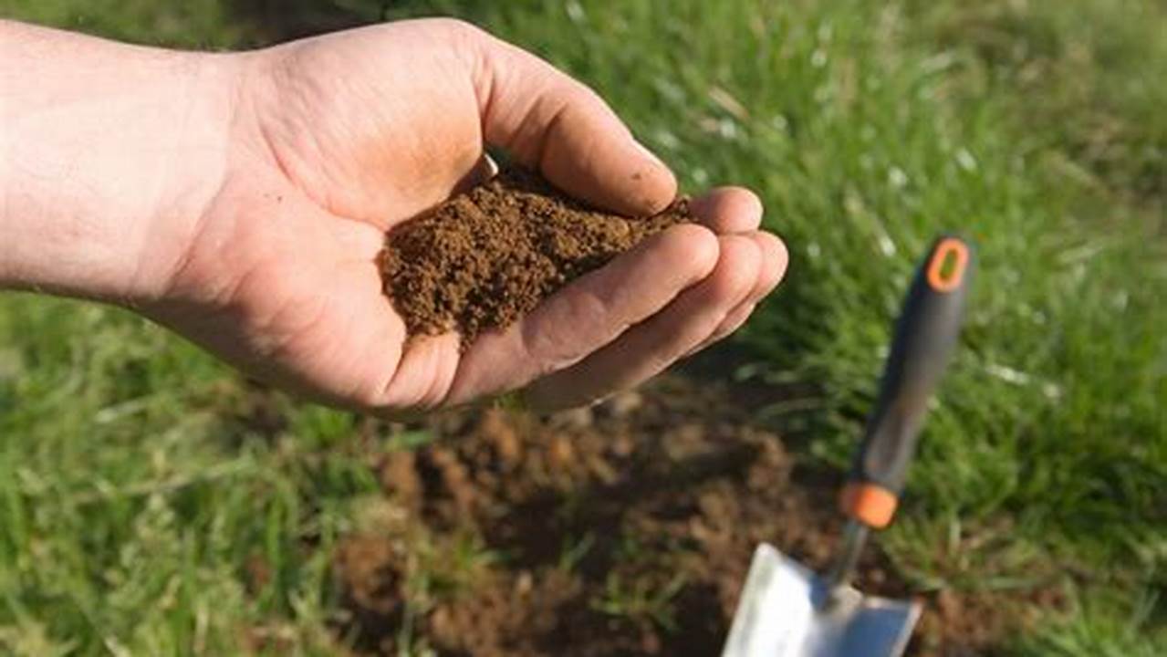 Soil Conditions, Farming Practices