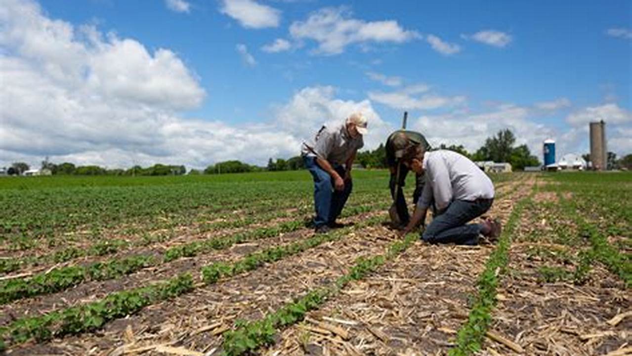 Soil Stewardship, Farming Practices