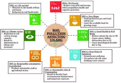 Soil Pollution: Health Risks & How to Protect Yourself