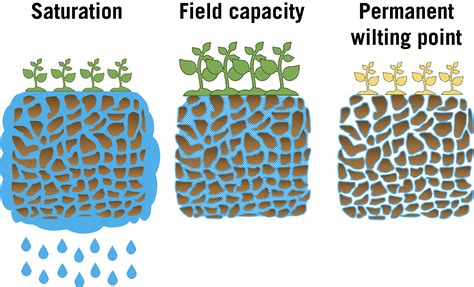 Soil that Retains Moisture