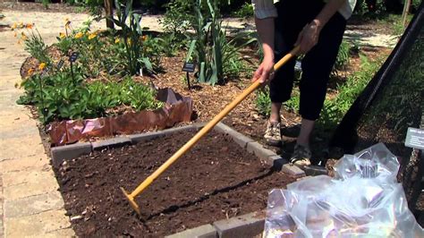 Solarization and Smothering Techniques