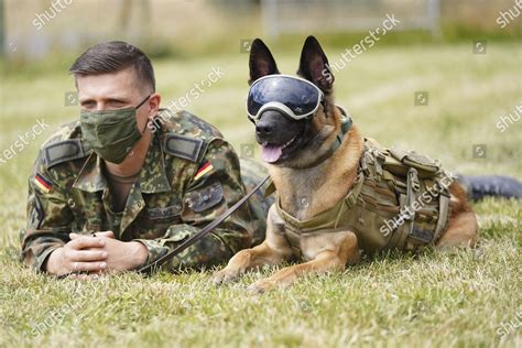 Soldiers And Their Dogs