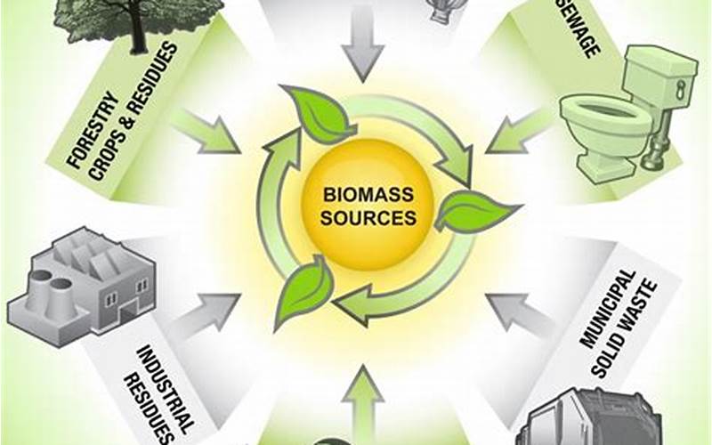 Solutions To The Challenges Of Biomass Utilization