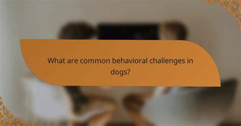 Solving Common Canine Challenges