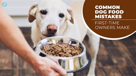 Solving Common Dog Food Dilemmas