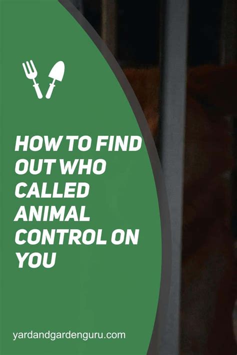 Dealing with the Hassle: Tips for Dealing with Frequent Animal Control Calls against You
