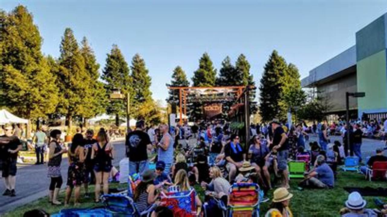Somo Village Concerts 2025