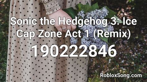 Sonic The Hedgehog 3: Ice Cap Zone Act 1 Roblox ID - Roblox 
