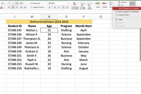 Sorting an Entire Worksheet by Date in Excel