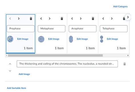 Sorting the Creator: An Intriguing Question