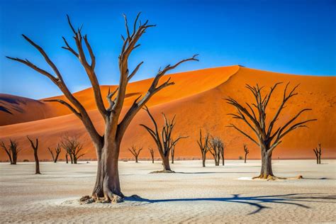 Sossusvlei Deadvlei Namibia