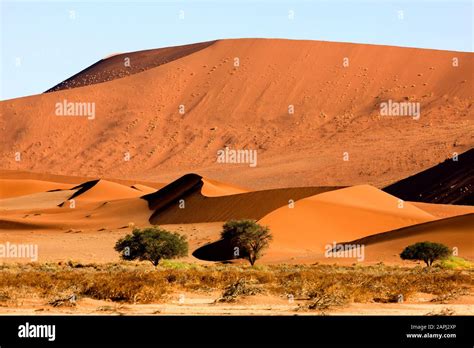 Sossusvlei Dunes Namibia
