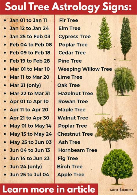Soul Tree Calculator