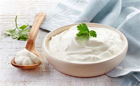 Sour Cream or Greek Yogurt Sauce