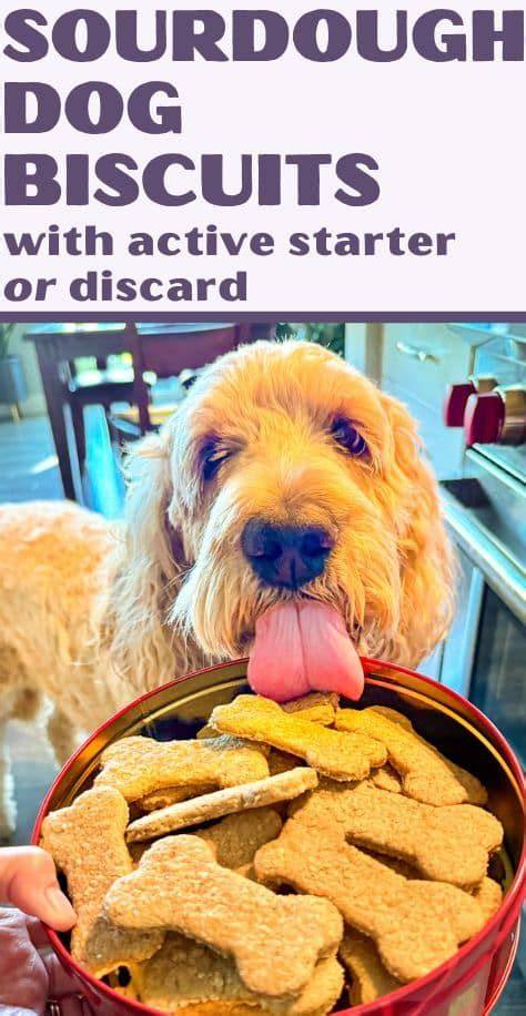 Sourdough Dog Biscuits - Chefinoz