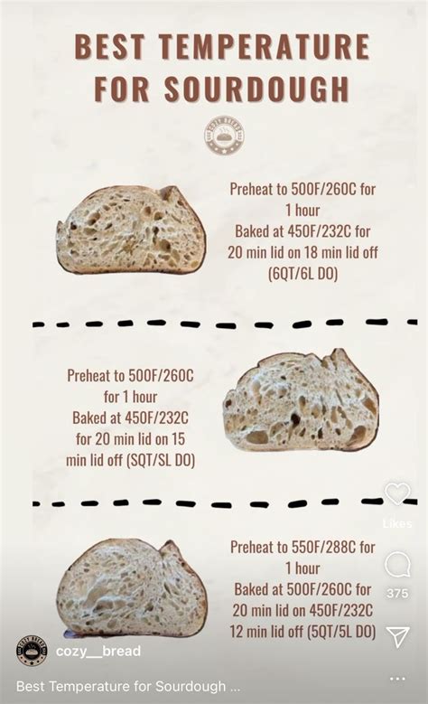 Sourdough Starter Temperature Chart