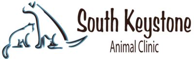 Expert Veterinary Care at South Keystone Animal Clinic - Your Trusted Partner in Pet Health