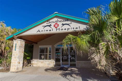 Top-rated Veterinary Care at Southeast Animal Hospital in San Antonio, TX - Trusted by Pet Owners!