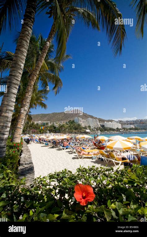 Southern Gran Canaria Beach