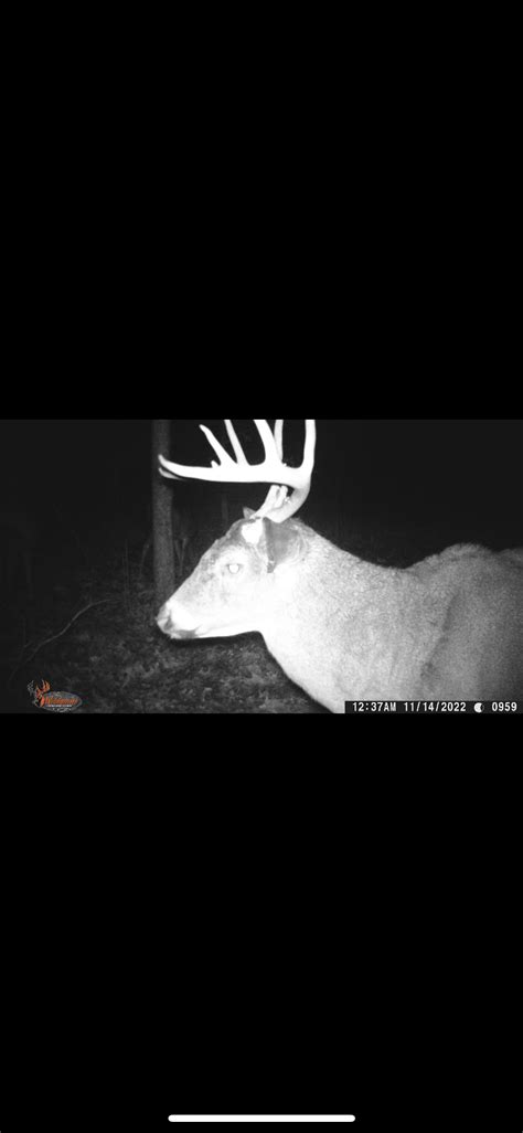 Bountiful Bliss: Discover Your Ultimate Hunting Haven in Southern Ohio's Pristine Property for Sale!