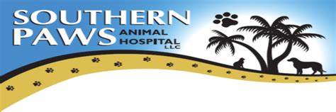 Discover Top-notch Pet Care Services at Southern Paws Animal Hospital