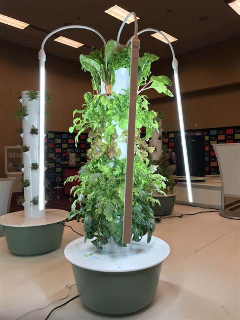 Space Efficiency lettuce grow tower